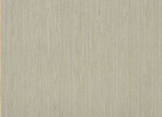 Cleaf RIGA LS22