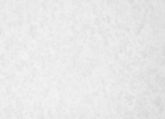 0249 RORA Bianco Freddo